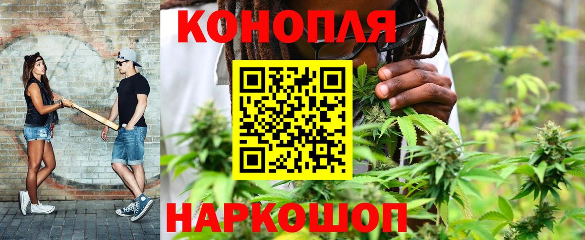 Севастополь  Бошки Шишки гибрид  Вход с VPN  Каннабис конопля 